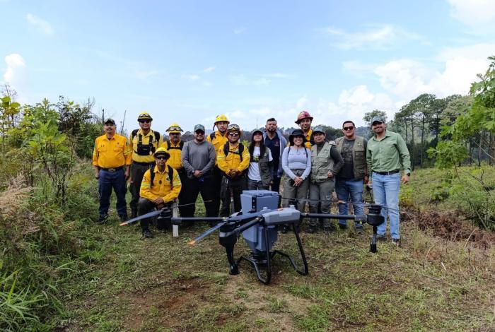 Michoacán siembra con drones 24 mil semillas de árboles en Paracho y Uruapan