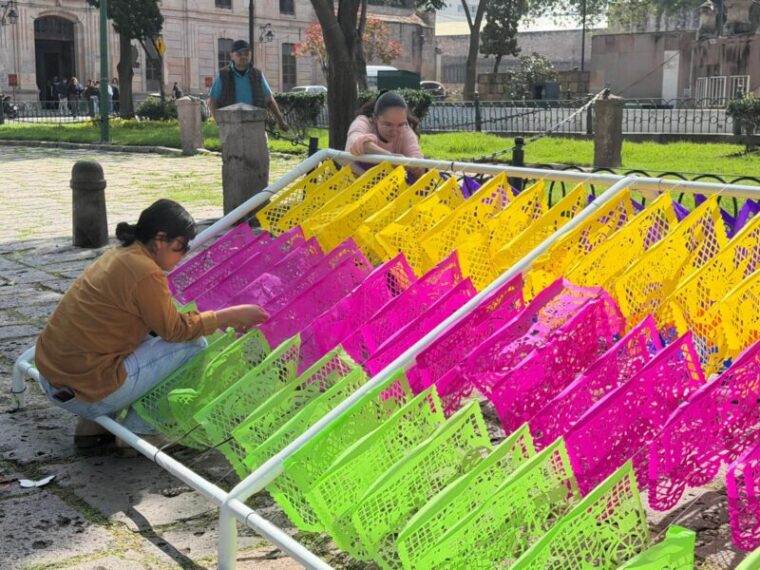Montarán altar para animalitos que partieron sin conocer el amor de un hogar