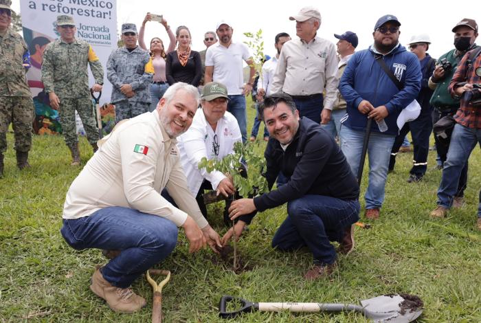 Morelia verde, invita el gobierno del estado a reforestación urbana 