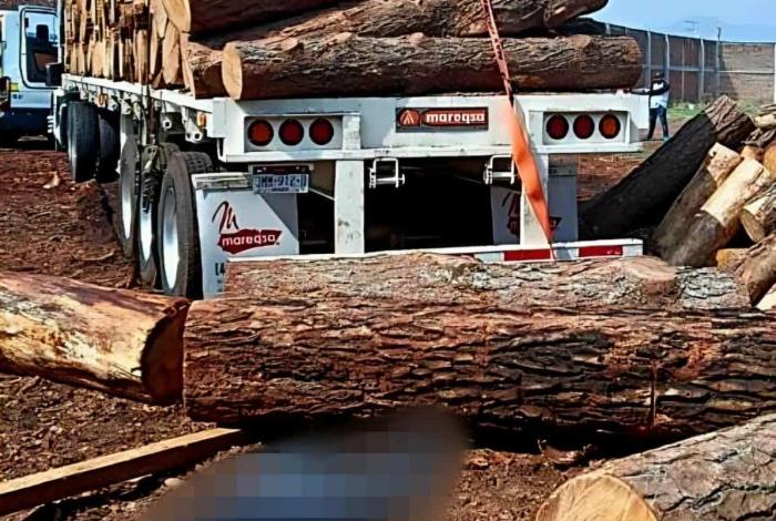 Mu3re aplastado por los troncos que descargaba, en Maravatío