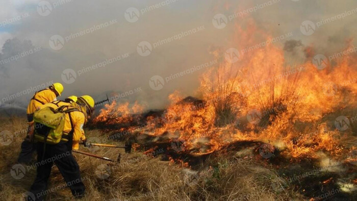 Muere brigadista combatiendo incendio en El Terrero, en Tuxpan