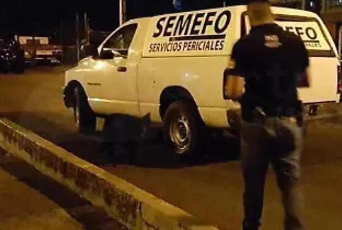 Muere menor de edad en Acuitzio del Canje tras caerle un tronco