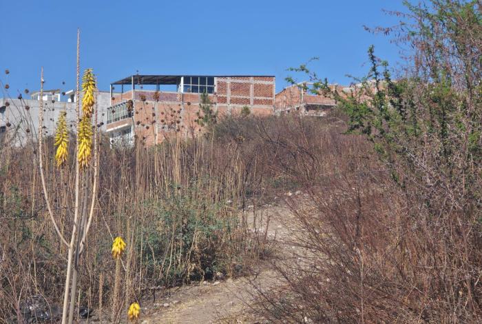 Muerte de mujer en Morelia genera dudas; Fiscalía señala ataque de perros