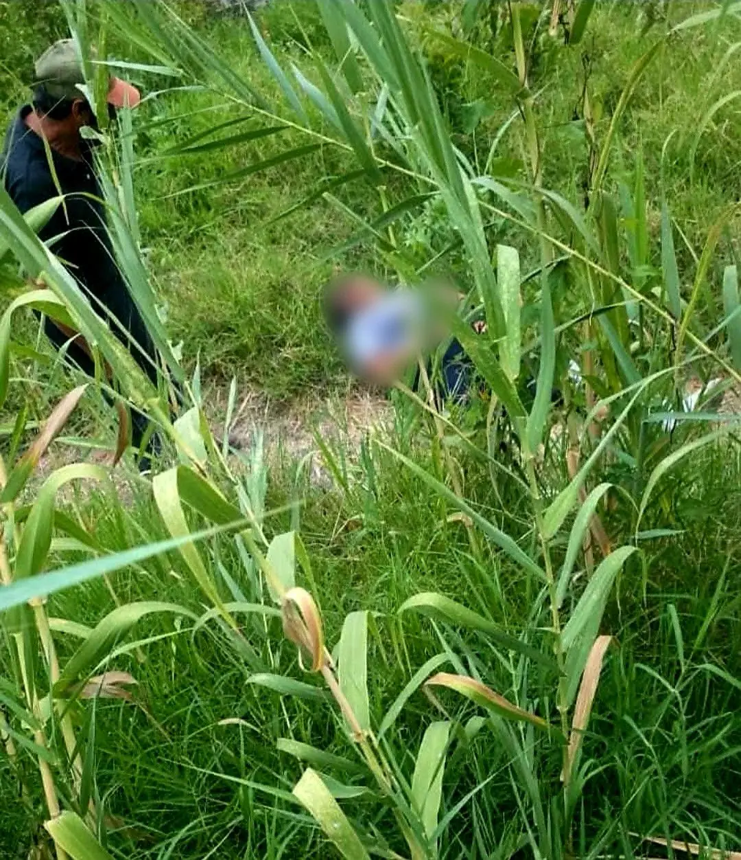 Mujer es atacada por una jauría de perros en la colonia El Arenal de Uruapan