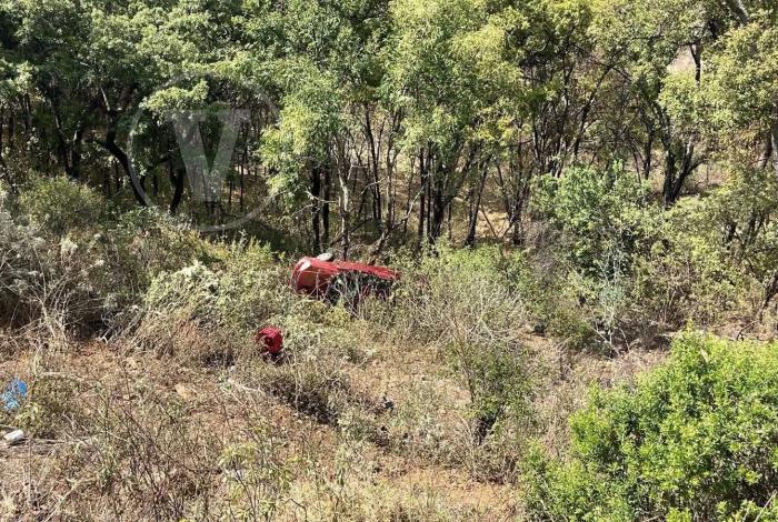 Mujer y sus dos hijos salvan la vida de milagro, tras caer con su auto en un barranco