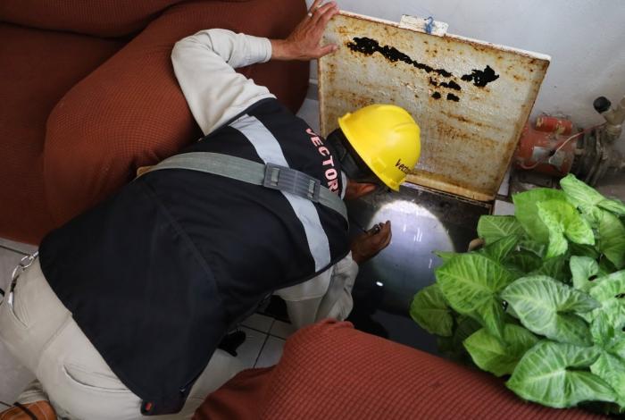 ¡No te confíes! El frío no detiene al dengue; SSM invita a no bajar la guardia