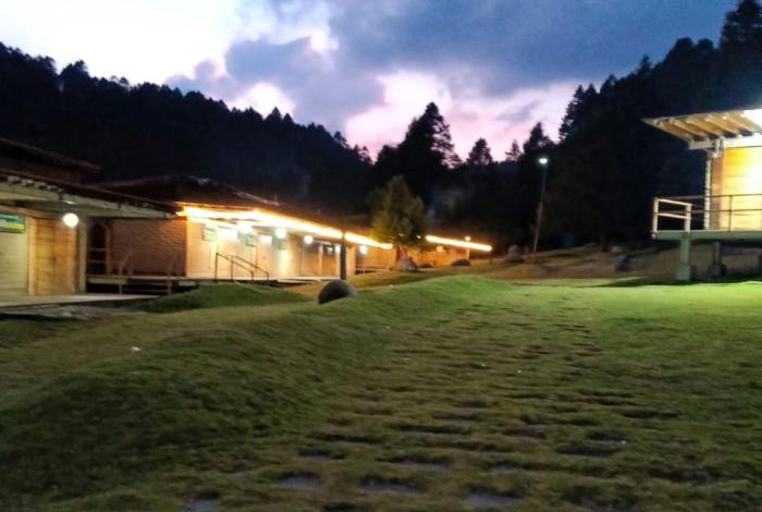 Núcleo de hibernación de la Mariposa Monarca, iluminado por electricidad subterránea