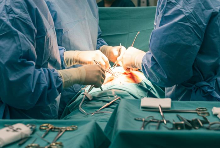 Obtiene IMSS Camelinas licencia para disponer de órganos y tejidos con fines de trasplante