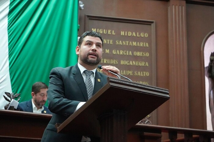 Octavio Ocampo impulsa iniciativa para garantizar seguridad y confidencialidad a mujeres que abortan