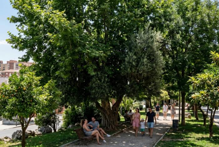 Olivos, fresnos, nísperos, plataneros y naranjos, aliados contra el calor en las ciudades