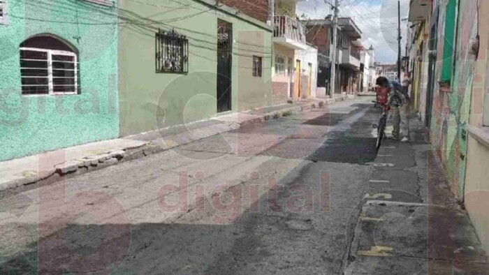 Olor a heces fecales de gatos invade hogares de la calle Leona Vicario