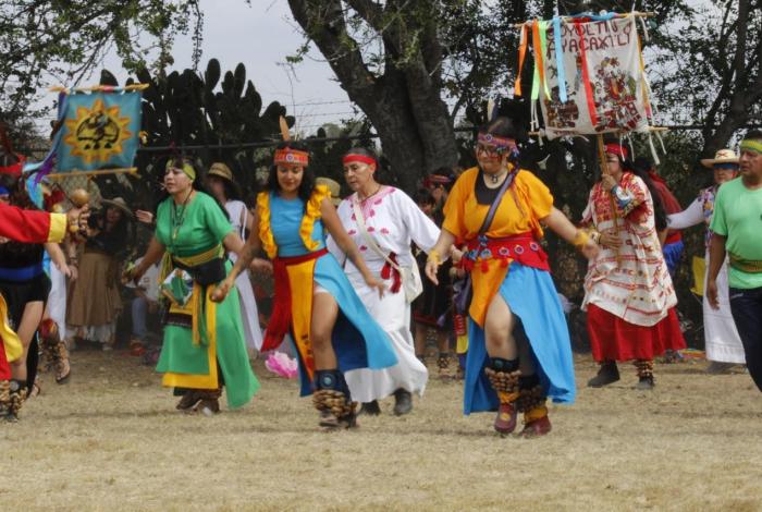 Once años de resistencia florecida: Coyoltin Ayacaxtli y la memoria viva de Anáhuac