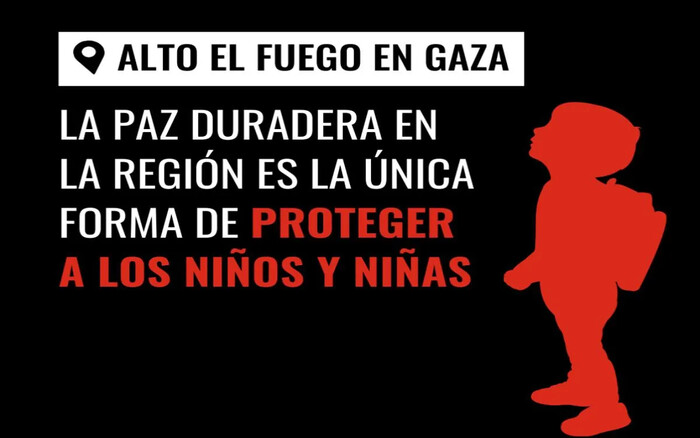 ONG exige alto al fuego permanente en Gaza