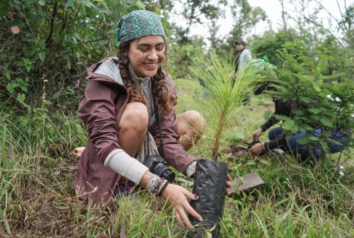 Organismos sociales y ciudadanos ponen verde la Loma de Santa María