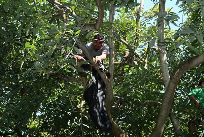 Persiste deuda en dotación de seguridad social a trabajadores de la agroindustria
