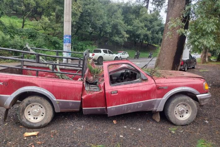 Pino colapsa y aplasta camioneta en la Tacámbaro-Pátzcuaro; hay 4 heridos