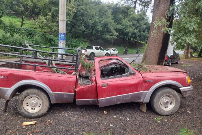 Pino colapsa y aplasta camioneta en la Tacámbaro-Pátzcuaro; hay 4 heridos