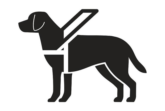 PJM, primer tribunal en incorporar formalmente la perspectiva de seres sintientes en su política pública