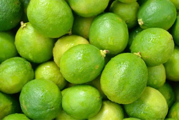 Plan Michoacán destina 720 mdp para apoyo a productores de cítricos en Tierra Caliente: Sader