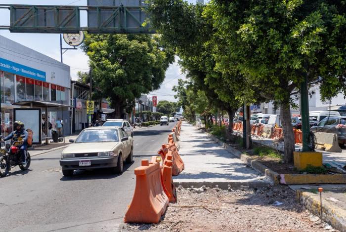 Plantarán 12 mil árboles como parte de las medidas ambientales del proyecto Morebús