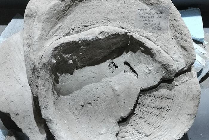 Pompeya revela que esclavos podían alimentarse mejor que muchos ciudadanos libres