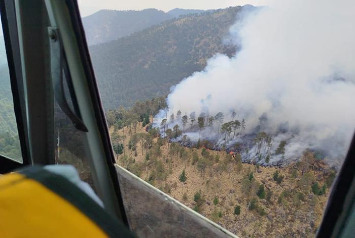 Por aire y tierra Gobierno de Michoacán combate incendio en el Pico de Tancítaro