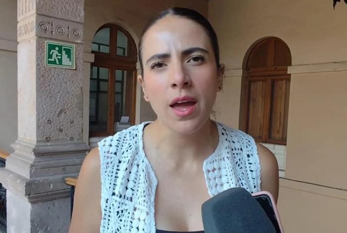 Por analizar aún en comisiones, iniciativa de reforma en materia de apología del delito