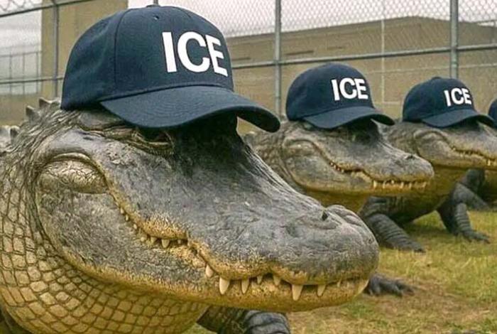 Por estas razones es tan polémica Alligator Alcatraz, la cárcel para migrantes de Trump