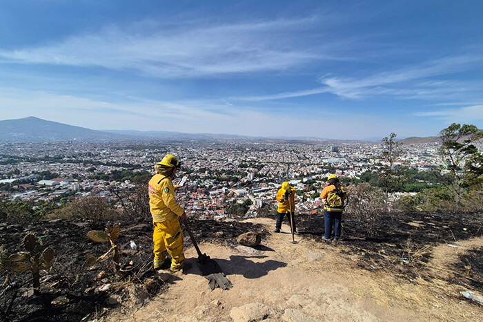 Presentará alcalde denuncia por incendio a la Loma de Santa María; sería provocado