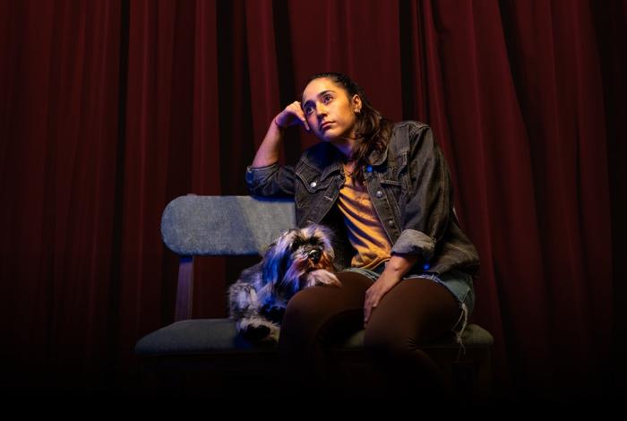 Presentarán en Morelia obra teatral a beneficio de perros en abandono