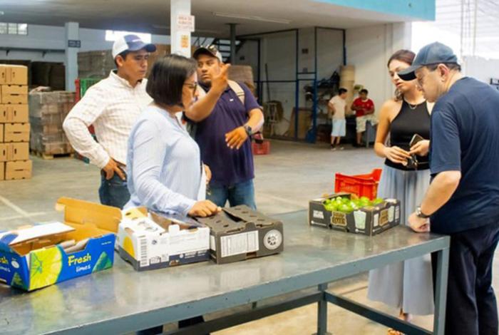 Productores de Veracruz exportan 21.4 toneladas de limón persa a Rusia