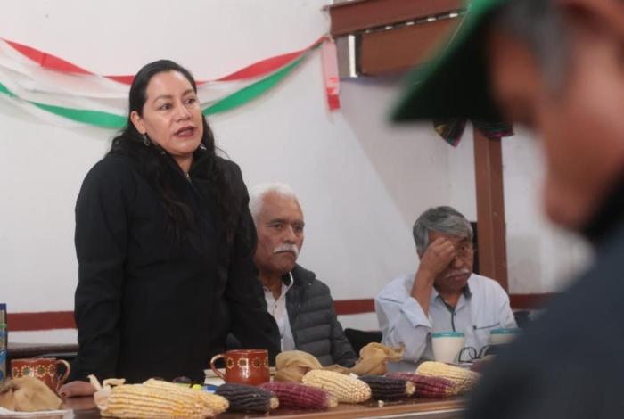 Programas federales beneficiarán al campo michoacano en 2026: Sader