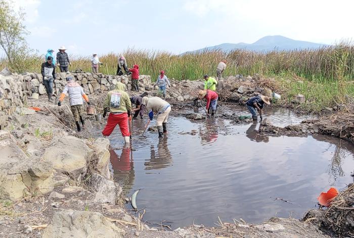 Protección al lago de Pátzcuaro con Programa de Empleo Temporal