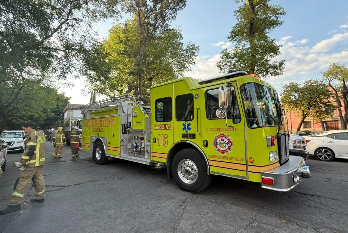 Protección Civil de Morelia reubica 2 colmenas de abejas