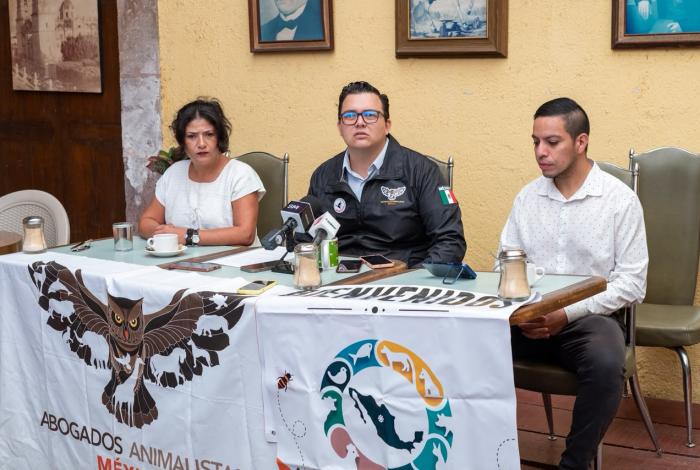 Proyecto de ley general de bienestar animal es un retroceso: animalistas