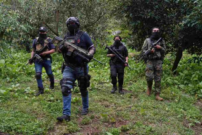 Prueba de lealtad: el rostro del crimen