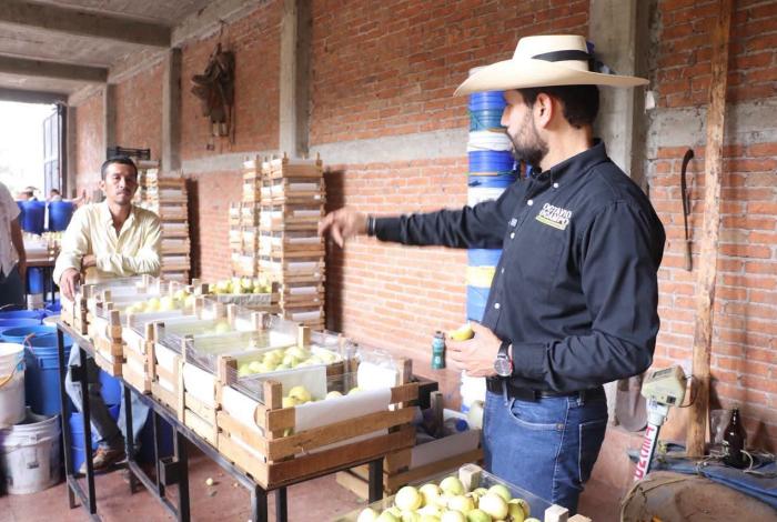 Queremos que la producción de guayaba se convierta en un motor de desarrollo sostenible para Juárez y para todo Michoacán: Octavio Ocampo