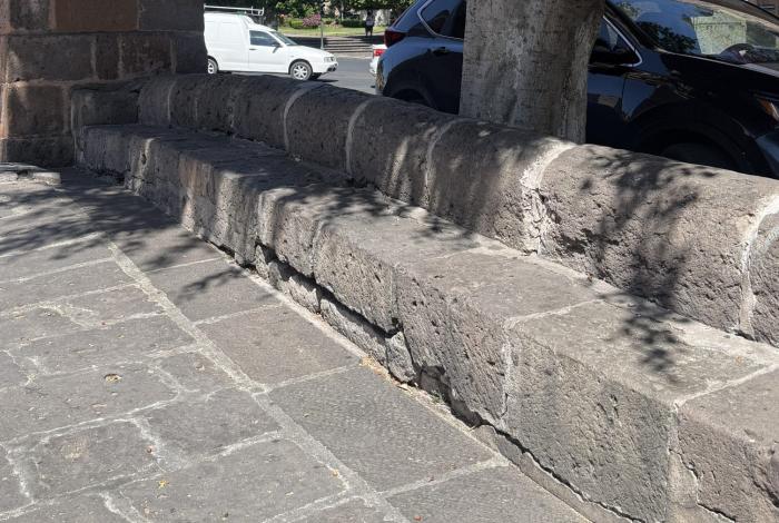 Raíces gigantes fracturan las bancas históricas de cantera, en la Calzada de San Diego