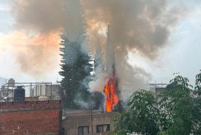 Rayo cae en un árbol y causa incendio cerca del Mercado Revolución, en Morelia