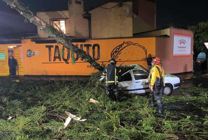 Árbol cae sobre auto en movimiento, por la colonia Cuauhtémoc