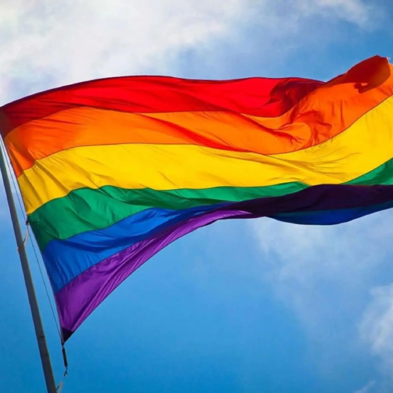 Realizan Diputados alemanes “cacería” contra la bandera del orgullo LGBT+