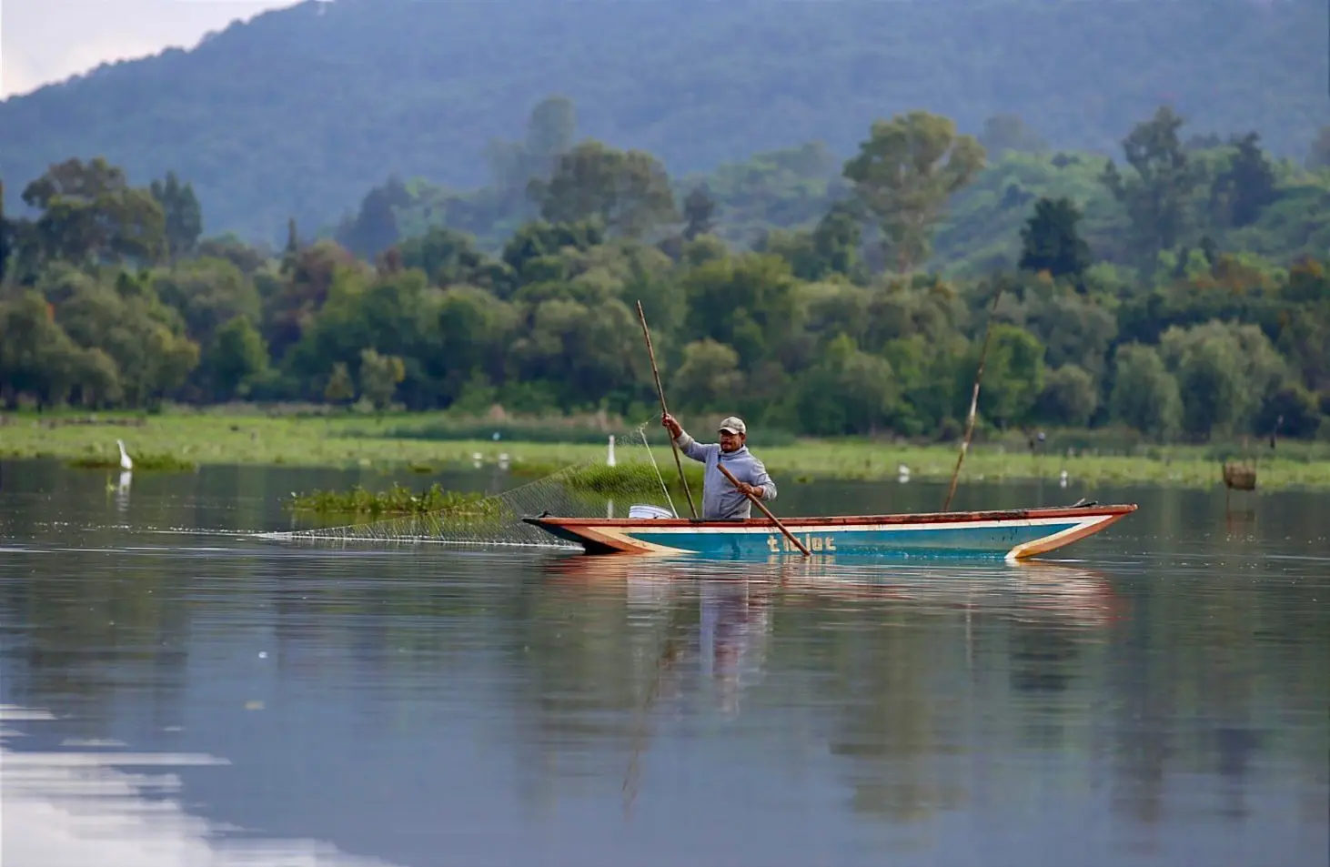 Recuperadas en un año 334 hectáreas de superficie del lago de Pátzcuaro: Bedolla