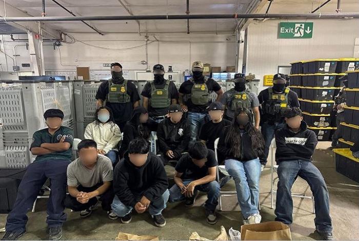 Redada en granja de cannabis en California es el operativo más grande hasta ahora con 361 detenidos