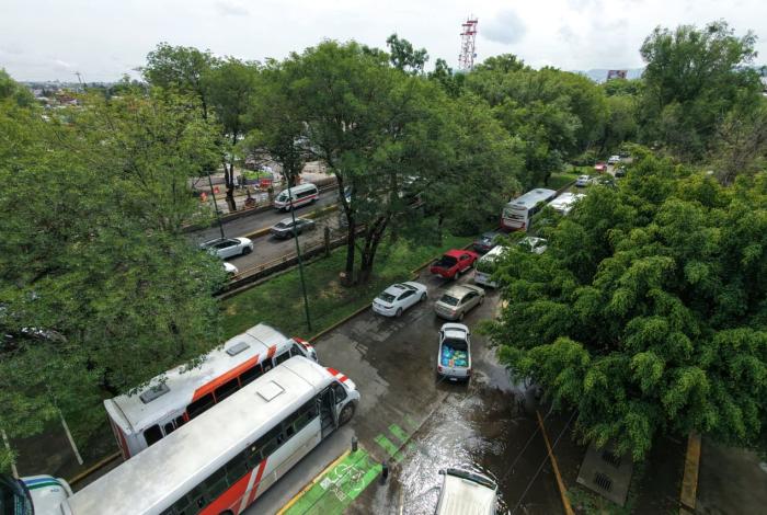 Reducen de 49 a 27 la cifra de árboles que moverán en Tres Puentes
