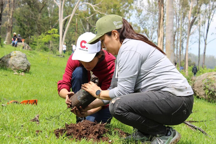  Reforesta Gobierno estatal área natural protegida “Piedra del Indio” en Morelia