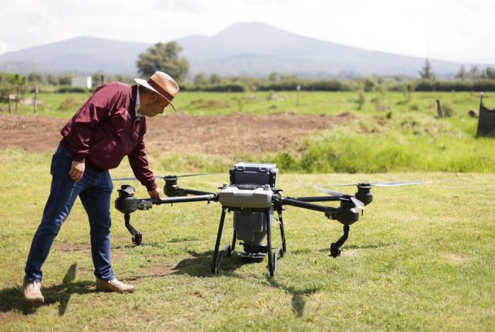 Reforestación con drones supera meta de 250 mil semillas sembradas en 68 hectáreas afectadas por incendios forestales: Bedolla