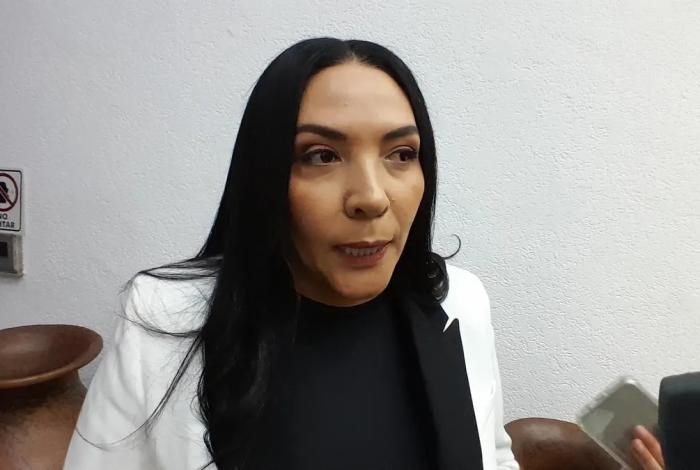 Reforma electoral anunciada por Claudia Sheinbaum, “revanchismo contra el INE”