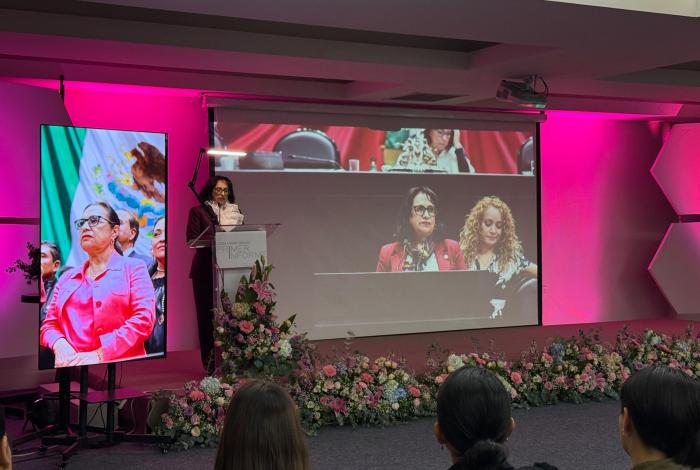 Reformas legislativas están transformando la realidad de México: Leticia Farfán