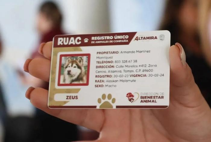 Registro obligatorio de mascotas en CDMX: evita multas