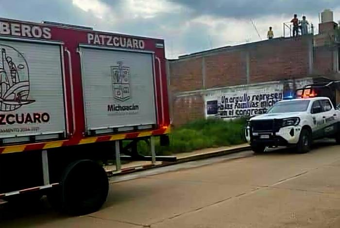 Reportan a un puma merodeando la colonia Joya de los Molinos, en Pátzcuaro